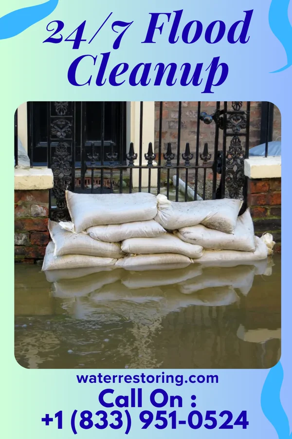 24/7 Flood Cleanup in Nason, IL