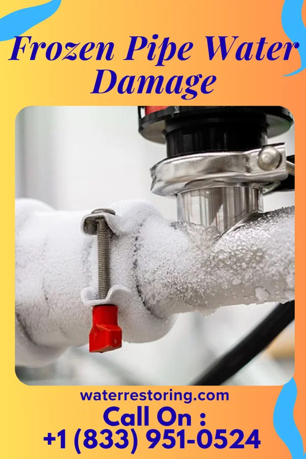 Frozen Pipe Water Damage in Nason, IL