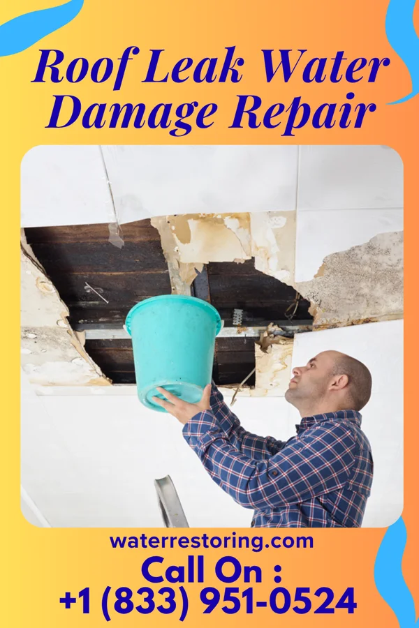 Roof Leak Water Damage Repair in Nason, IL