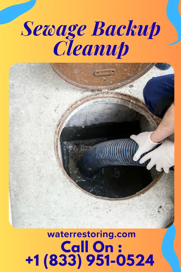Sewage Backup Cleanup in Nason, IL